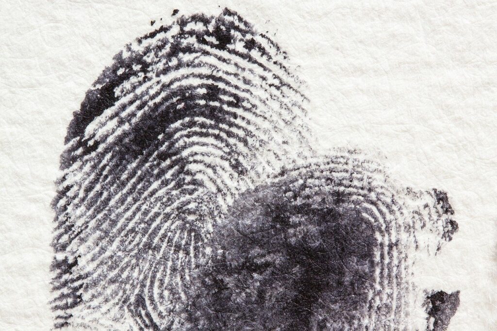 fingerprint, daktylogramm, papillary