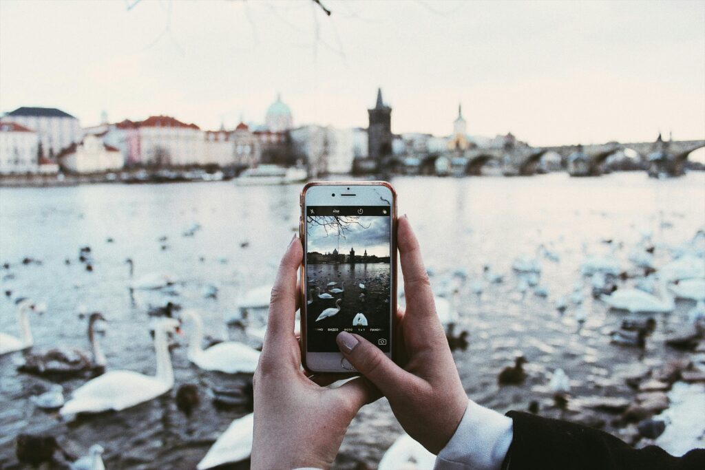 A person photographing swans on Prague's Vltava River with a smartphone, featuring the iconic Charles Bridge.